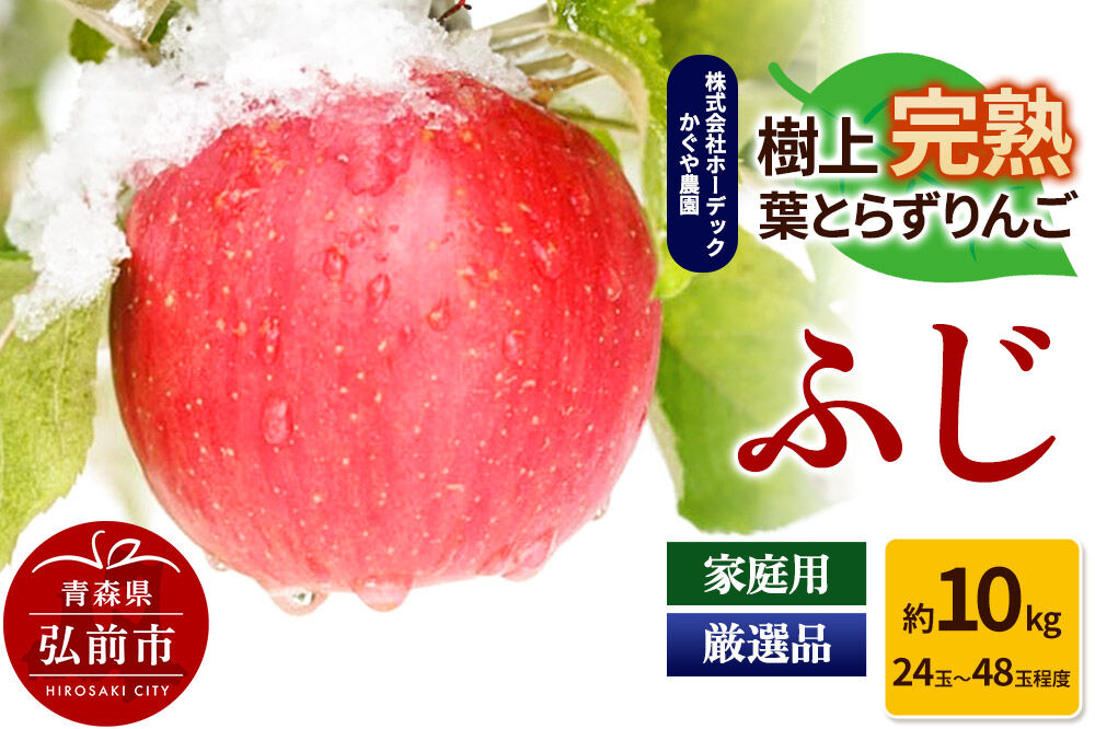 りんご ふじ 約10kg（24玉～48玉程度）樹上完熟葉とらず【家庭用】厳選品 青森県産 りんご