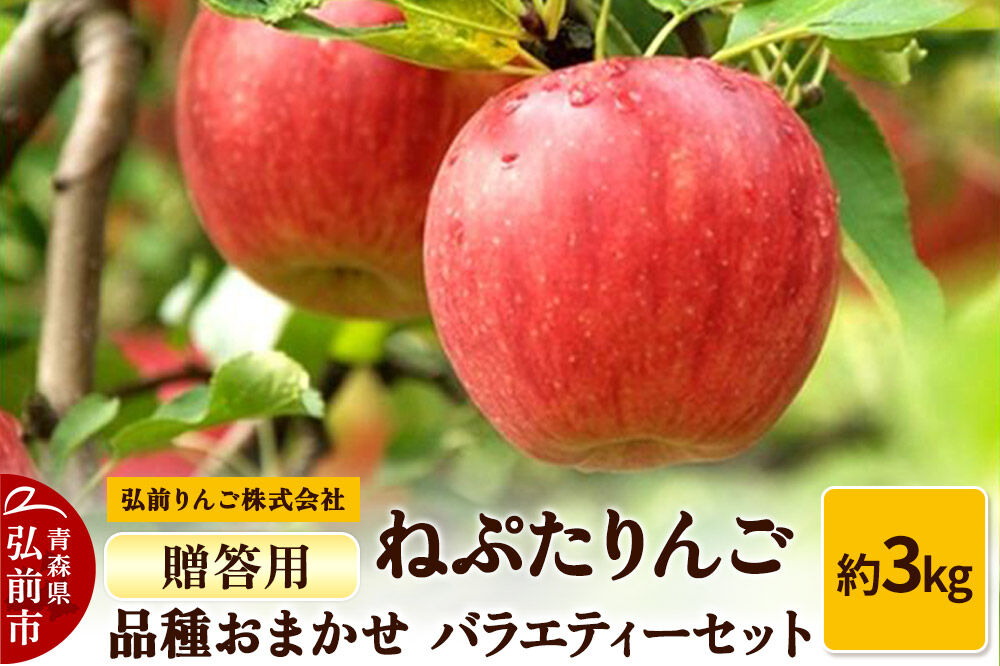 【寄附金額見直しました】りんご ねぷたりんご バラエティーセット 贈答用 約3kg 【品種おまかせ】