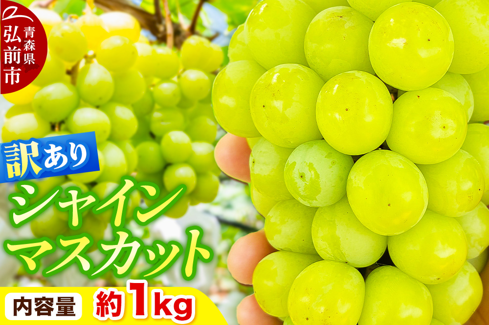 【26年10月～クール便発送】【先行受付】ぶどう【訳あり】シャインマスカット 約1kg 青森県弘前市