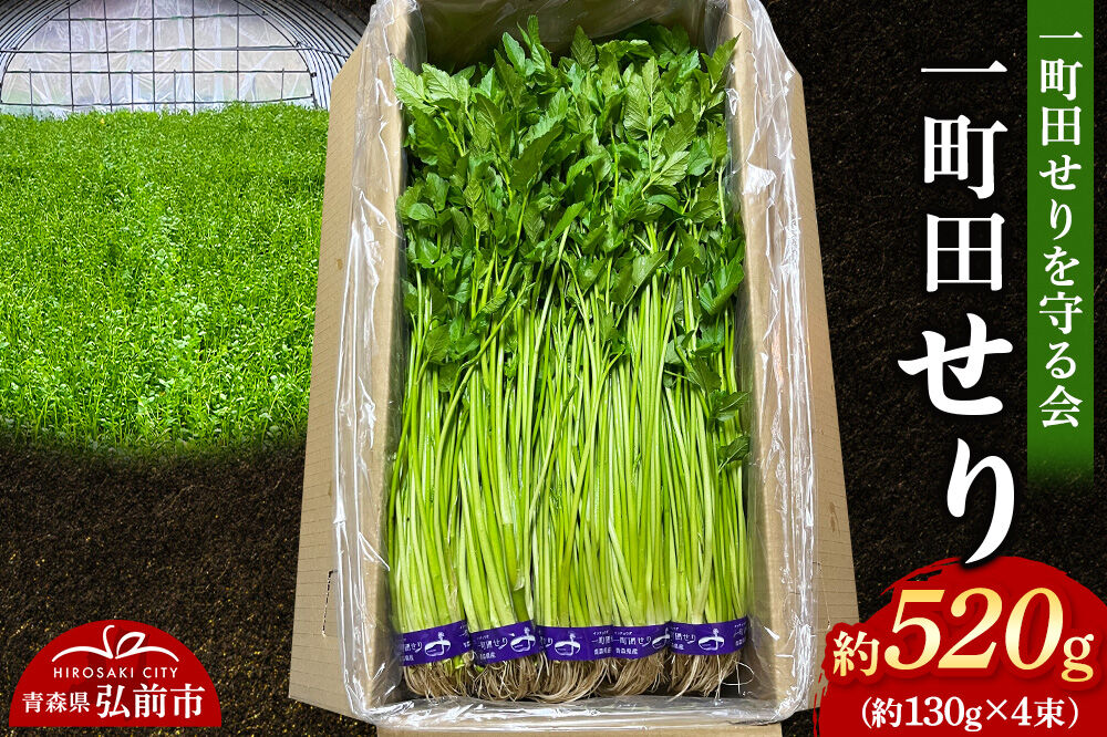 【寄附金額見直しました】野菜 一町田せり 約520g（約130g×4束）せり 七草