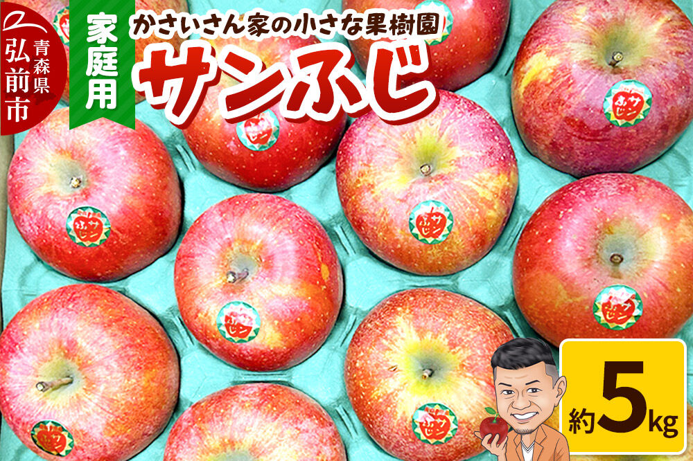 りんご サンふじ 約5kg【家庭用】林檎 リンゴ 果物 くだもの フルーツ 青森