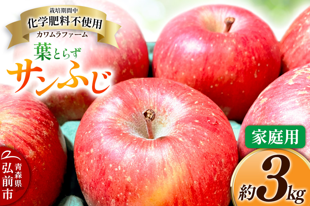 りんご 葉とらず サンふじ 約3kg カワムラファーム 家庭用 青森 果物 フルーツ 林檎 リンゴ くだもの