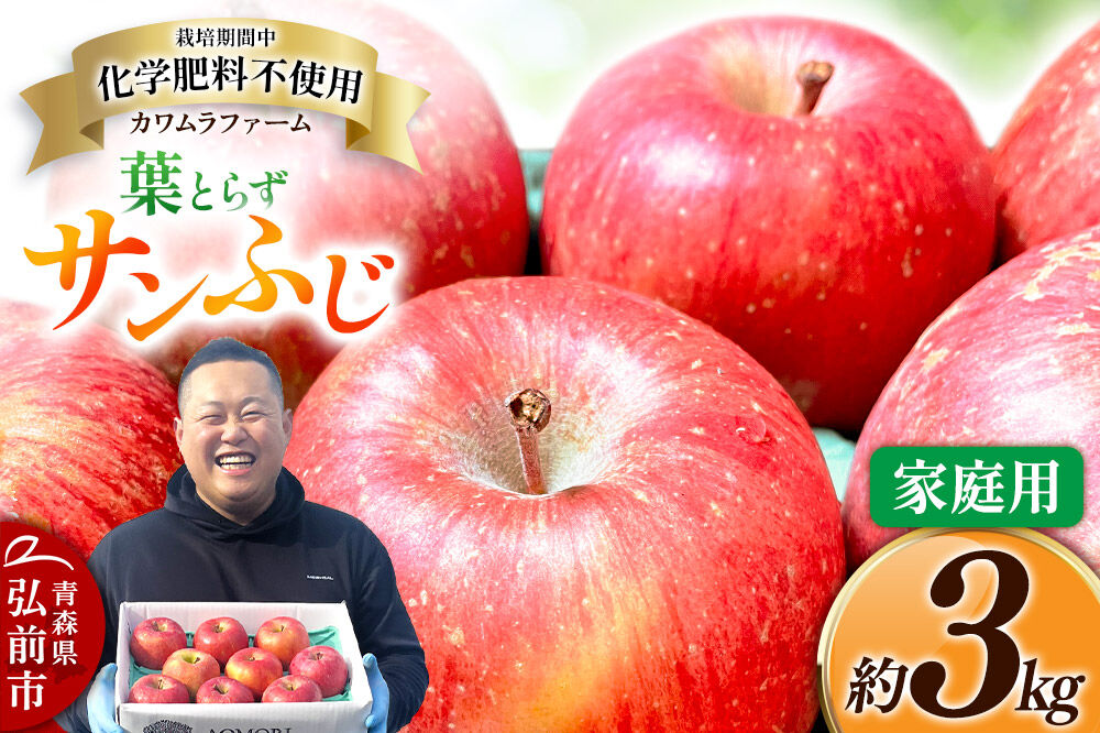 【寄附金額見直しました】りんご 葉とらず サンふじ 約3kg カワムラファーム 家庭用 青森 果物 フルーツ 林檎 リンゴ くだもの