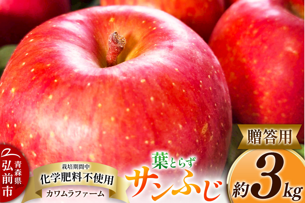 りんご 葉とらず サンふじ 約3kg カワムラファーム 贈答用 青森 果物 フルーツ 林檎 リンゴ くだもの