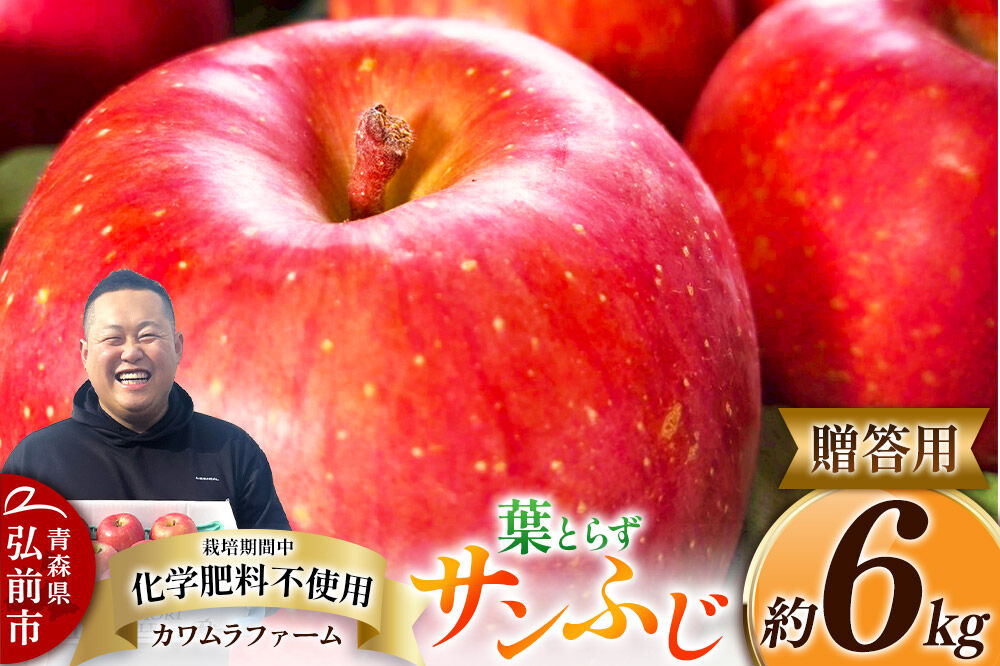 【寄附金額見直しました】りんご 葉とらず サンふじ 約6kg カワムラファーム 贈答用 青森 果物 フルーツ 林檎 リンゴ くだもの