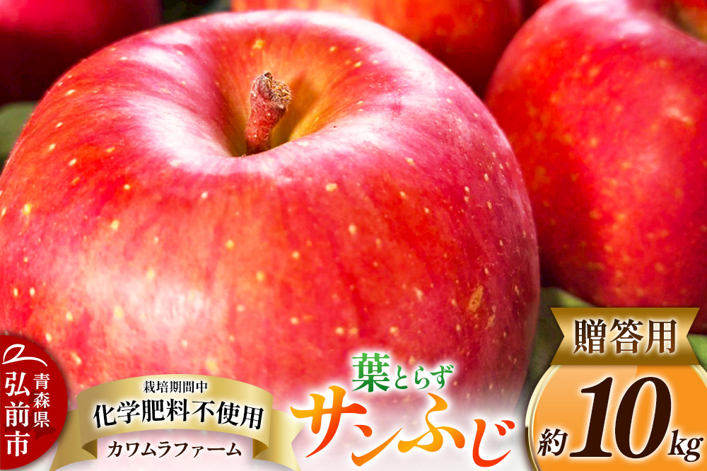 りんご 葉とらず サンふじ 約10kg カワムラファーム 贈答用 青森 果物 フルーツ 林檎 リンゴ くだもの