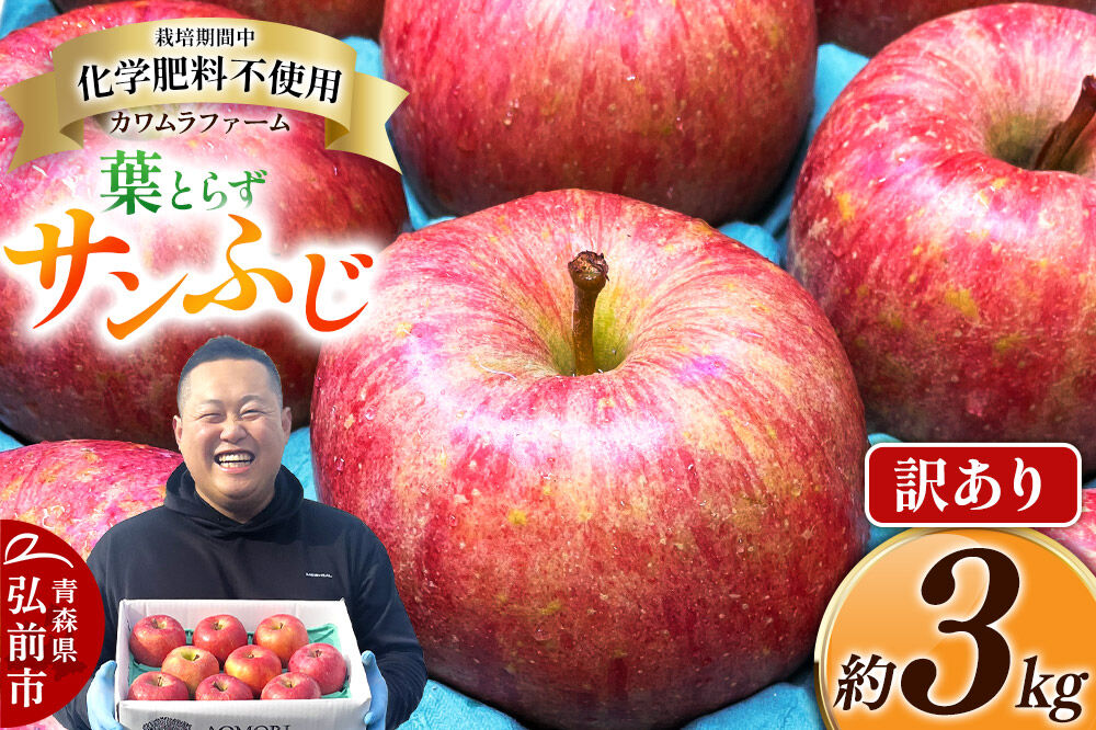 【寄附金額見直しました】りんご 葉とらず サンふじ 約3kg カワムラファーム 訳あり 青森 果物 フルーツ 林檎 リンゴ くだもの 不揃い 規格外