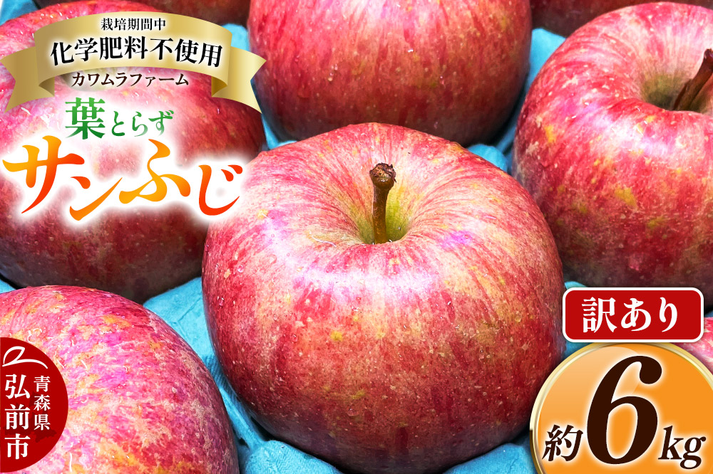 りんご 葉とらず サンふじ 約6kg カワムラファーム 訳あり 青森 果物 フルーツ 林檎 リンゴ くだもの 不揃い 規格外