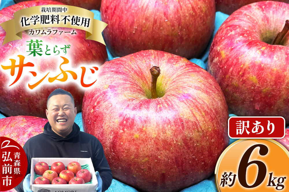【寄附金額見直しました】りんご 葉とらず サンふじ 約6kg カワムラファーム 訳あり 青森 果物 フルーツ 林檎 リンゴ くだもの 不揃い 規格外