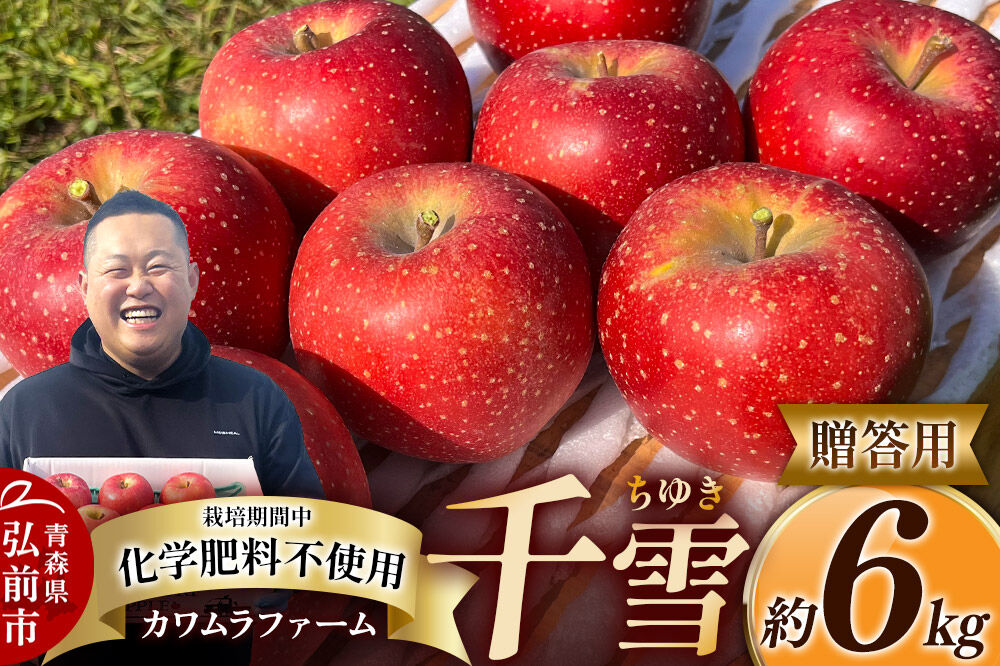 【寄附金額見直しました】【26年10月下旬～発送】りんご 千雪 約6kg カワムラファーム【贈答用】青森 果物 フルーツ 林檎 リンゴ くだもの [先行受付 アップル おいしい ちゆき お歳暮 お中元 ギフト プレゼント 果実 果物 赤色 贈り物 美味 林檎 弘前市]