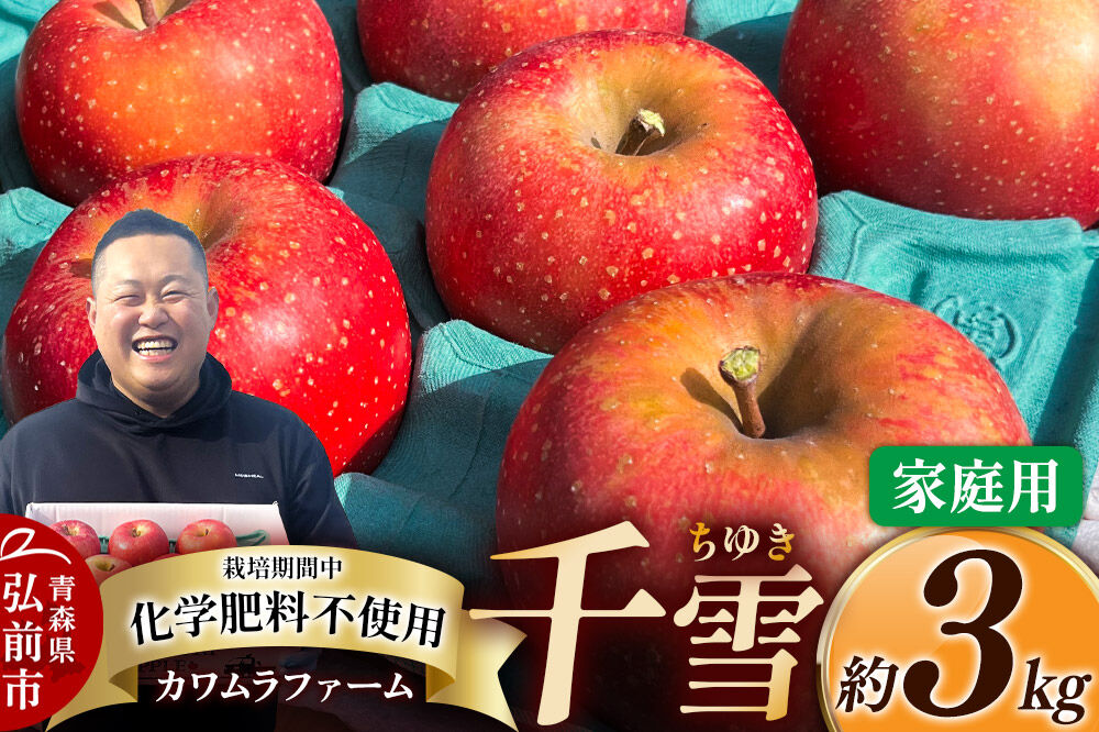【26年10月下旬～発送】りんご 千雪 約3kg カワムラファーム【家庭用】青森 果物 フルーツ 林檎 リンゴ くだもの [先行受付 アップル おいしい ちゆき 果実 果物 赤色 美味 林檎 弘前市]