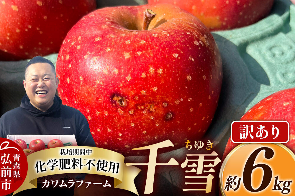 【寄附金額見直しました】【26年10月下旬～発送】りんご 千雪 約6kg カワムラファーム【訳あり】青森 果物 フルーツ 林檎 リンゴ くだもの [先行受付 アップル おいしい ちゆき 果実 果物 赤色 美味 林檎 弘前市]