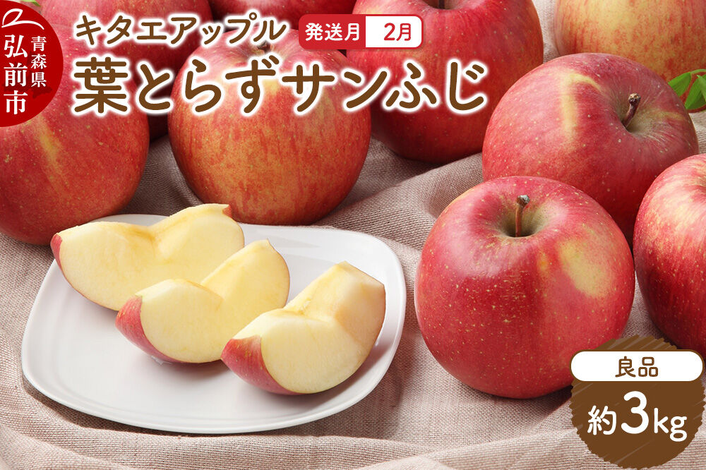 【寄附金額見直しました】【26年2月発送】りんご 葉取らずサンふじ【良品】約3kg キタエアップル
