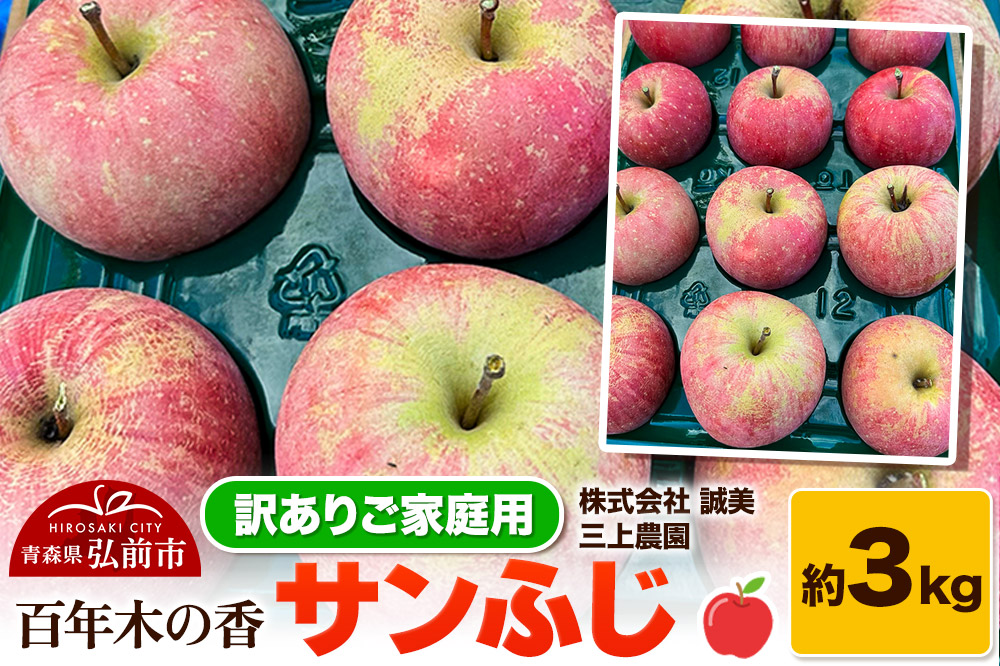 【25年12月～発送】りんご 【訳あり】家庭用 百年木の香 三上農園 サンふじ 約3kg【先行受付】 青森 果物 フルーツ 林檎 リンゴ くだもの 不揃い 規格外 予約