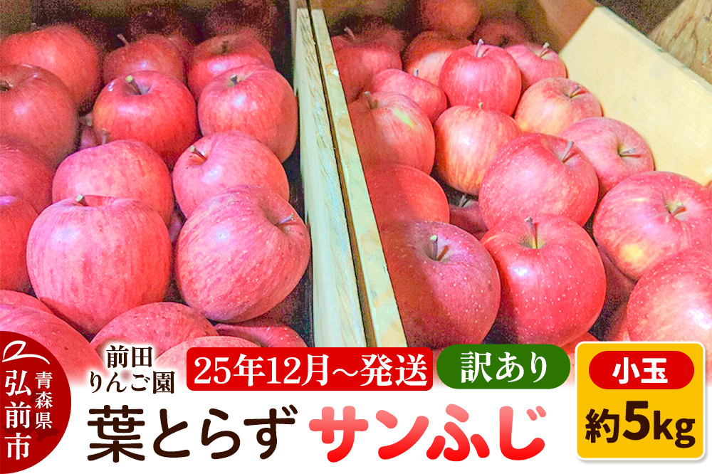 りんご【訳あり】葉とらず サンふじ 約5kg 小玉 前田りんご園