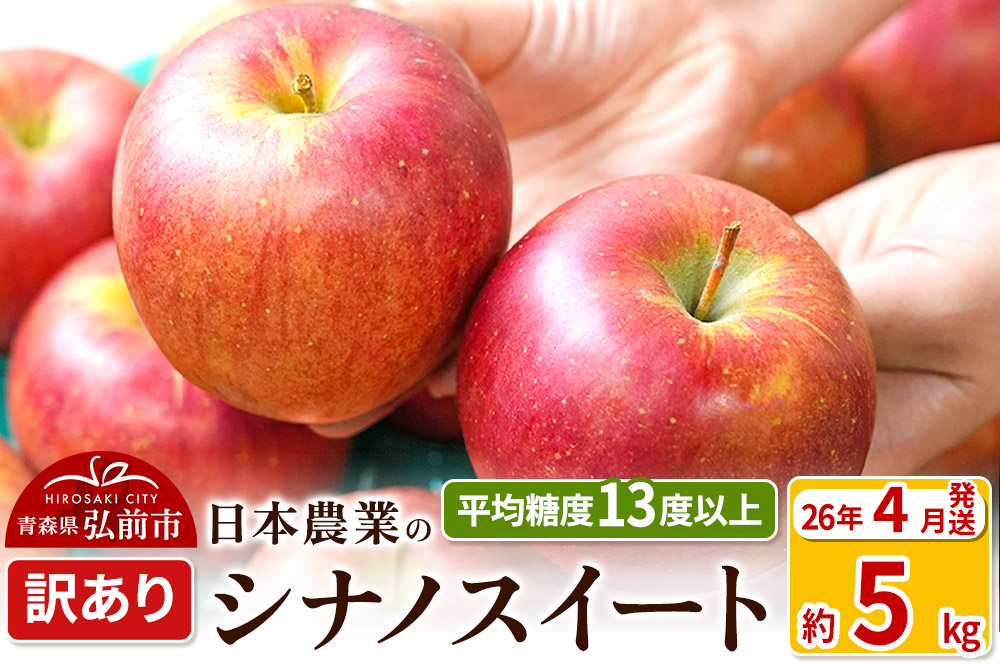 【26年4月発送】りんご 平均糖度13度以上！ シナノスイート 約5kg 訳あり CA貯蔵 クール便 青森 果物 フルーツ 林檎 リンゴ くだもの 不揃い 規格外