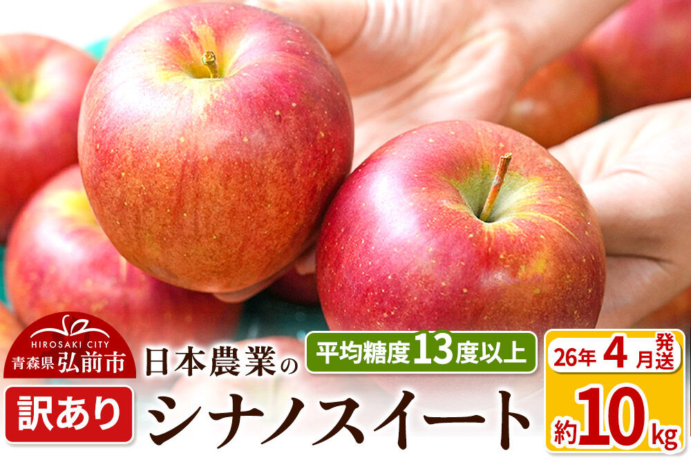 【26年4月クール便発送】りんご 平均糖度13度以上！ シナノスイート 約10kg 訳あり【CA貯蔵】クール便 青森 果物 フルーツ 林檎 リンゴ くだもの 不揃い 規格外 [アップル 産地直送 クール便 CA貯蔵 青森県 弘前市]