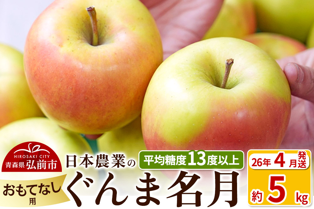 【26年4月発送】りんご 平均糖度13度以上！ ぐんま名月 約5kg おもてなし用 CA貯蔵 クール便 青森 果物 フルーツ 林檎 リンゴ くだもの