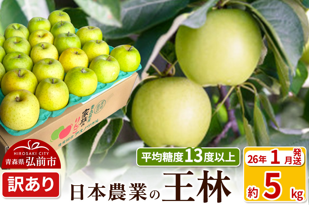 【26年1月発送】りんご 平均糖度13度以上！ 王林 約5kg 訳あり 青森 果物 フルーツ 林檎 リンゴ くだもの 不揃い 規格外