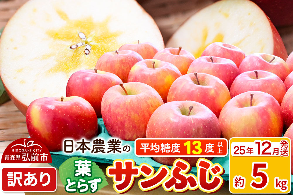 【25年12月発送】りんご 平均糖度13度以上！ 葉とらずサンふじ 約5kg 訳あり 青森 果物 フルーツ 林檎 リンゴ くだもの 不揃い 規格外