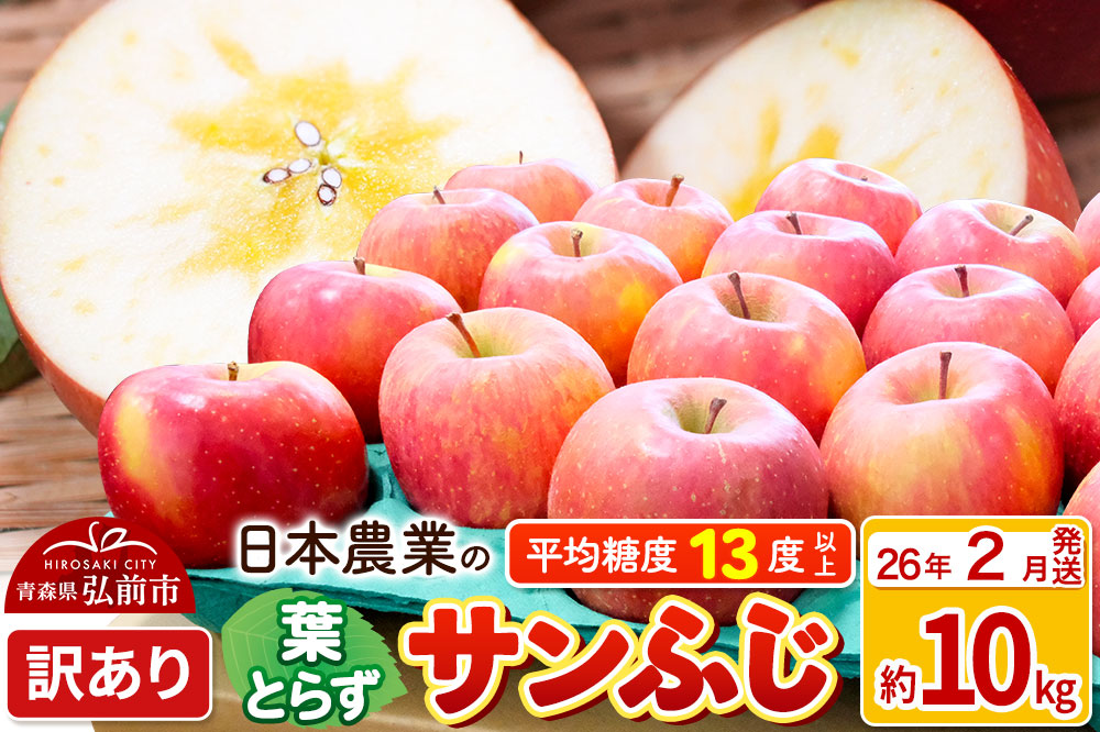 【26年2月発送】りんご 平均糖度13度以上！ 葉とらずサンふじ 約10kg 訳あり 青森 果物 フルーツ 林檎 リンゴ くだもの 不揃い 規格外