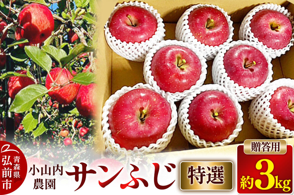 【寄附金額見直しました】【26年12月発送】りんご サンふじ【特選】贈答用 約3kg 小山内農園【先行予約】 [先行受付 弘前市産 青森りんご 果物 フルーツ デザート 食後 青森県産 産地直送 贈り物 青森 果物 フルーツ 林檎 リンゴ くだもの]