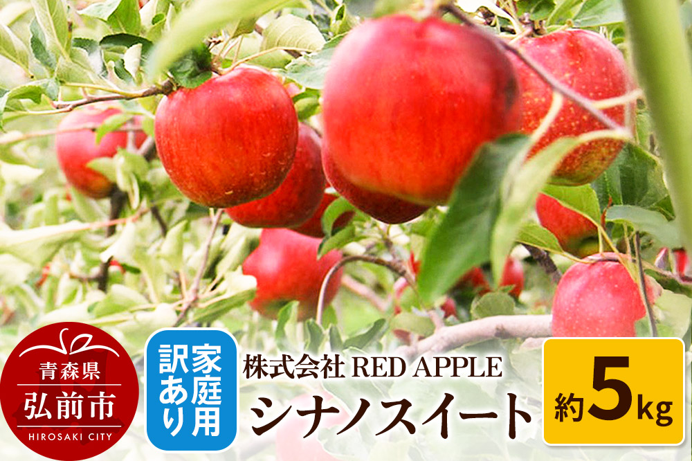 りんご【訳あり】家庭用 シナノスイート 約5kg