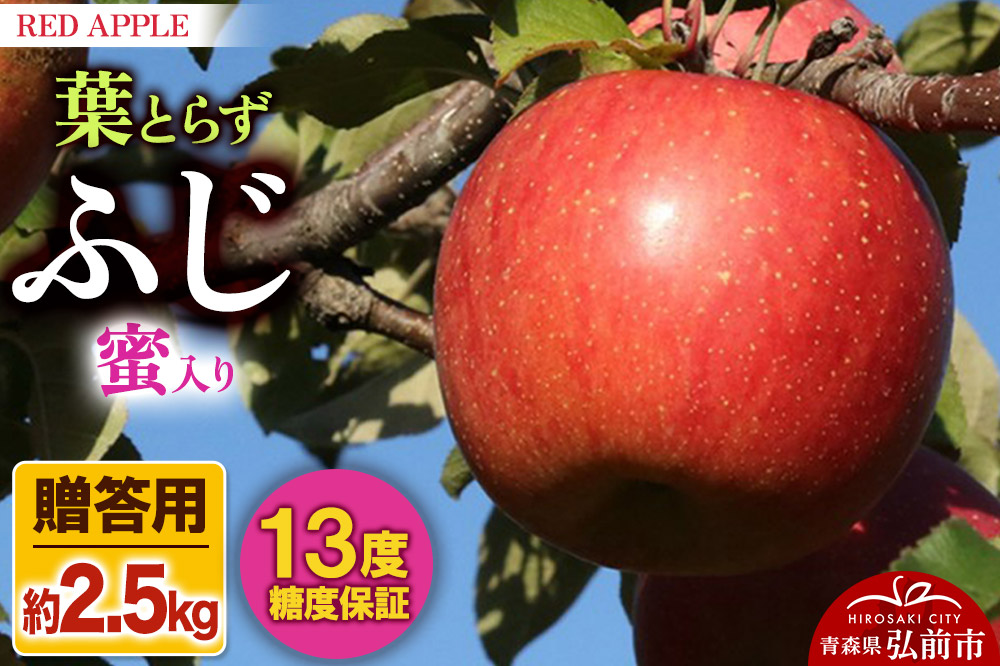 りんご 13度糖度保証【贈答用】葉とらずふじ 約2.5kg