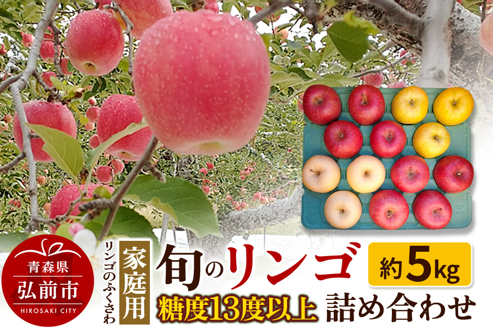 りんご 家庭用 旬のリンゴ詰め合わせ 約5kg 糖度13度以上