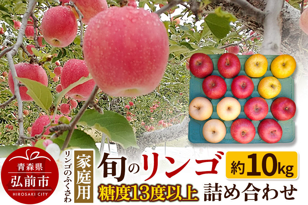 【寄附金額見直しました】【26年1月～発送】りんご 家庭用 旬のリンゴ詰め合わせ 約10kg 糖度13度以上