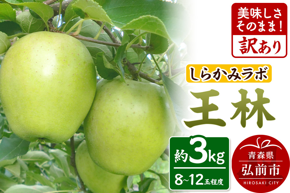 りんご 王林【訳あり】3kg しらかみラボ