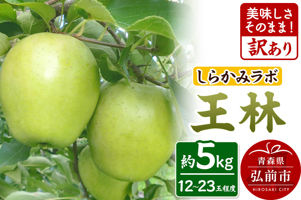 【25年12月～発送】りんご 王林【訳あり】5kg しらかみラボ