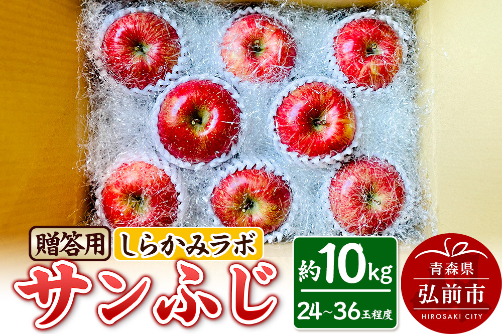 りんご サンふじ 贈答用 約10kg しらかみラボ