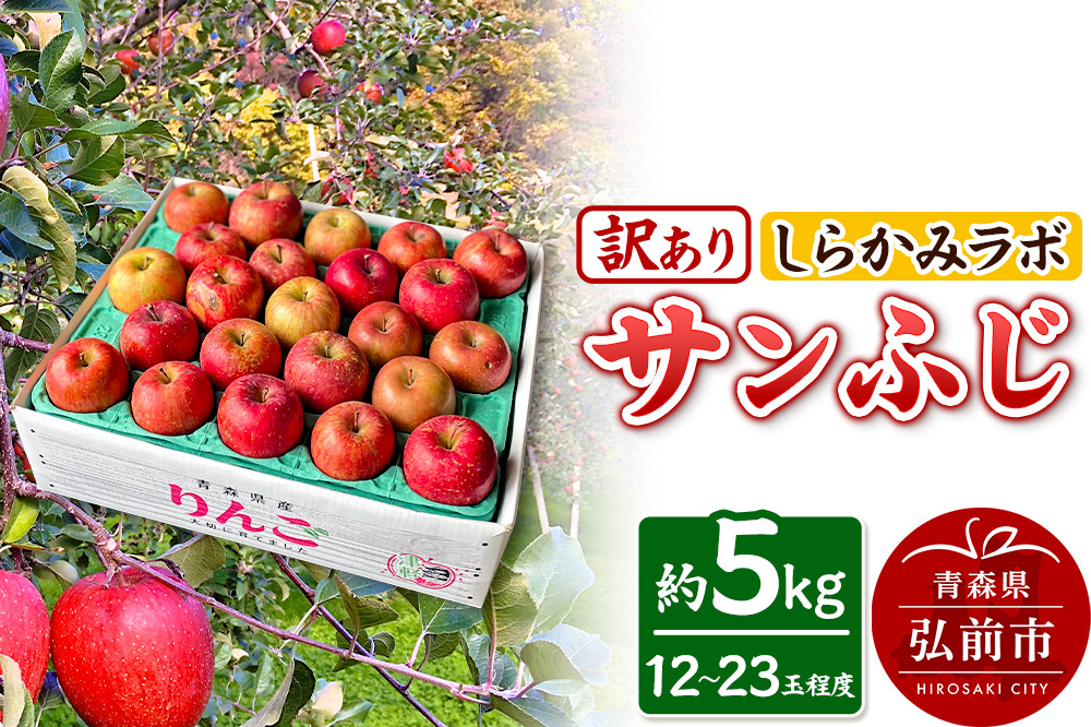【25年12月～発送】りんご サンふじ【訳あり】約5kg しらかみラボ