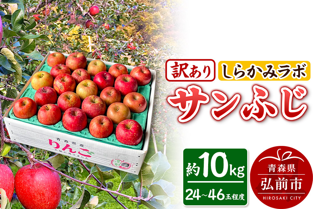 りんご サンふじ【訳あり】約10kg しらかみラボ