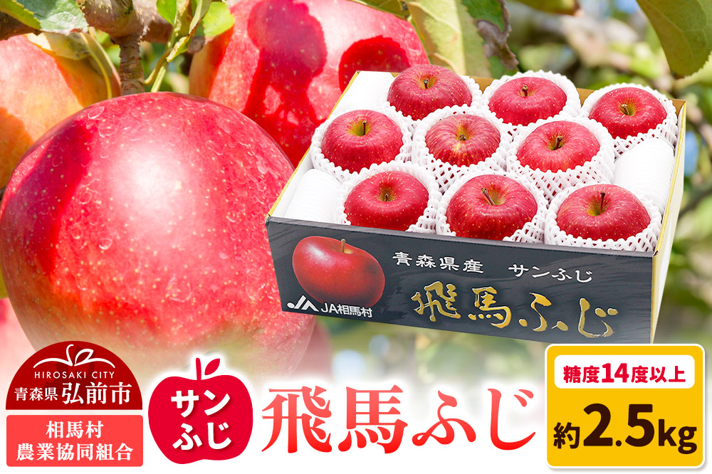 【25年11月～発送】りんご 糖度14度以上 「 飛馬ふじ 」（サンふじ）約 2.5kg