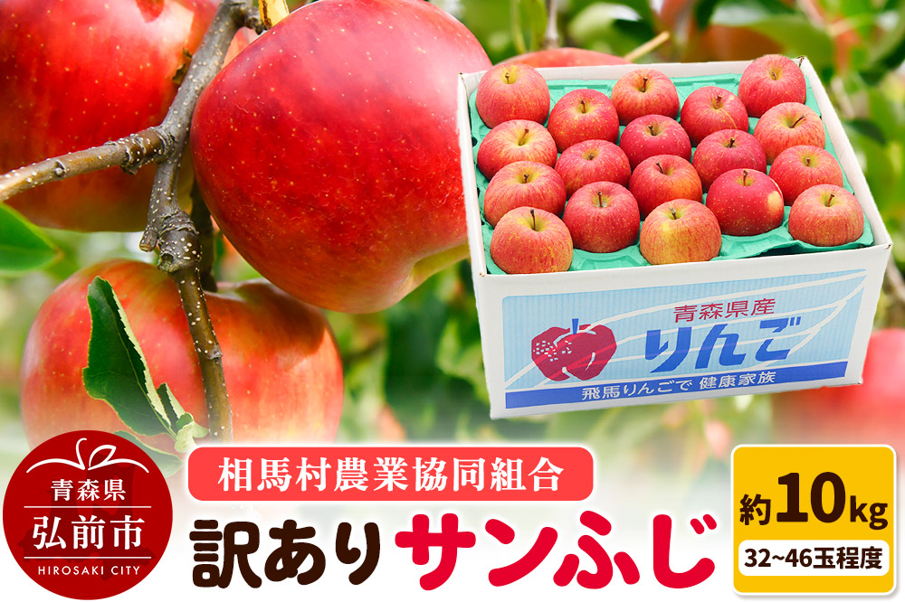 【26年3月発送】りんご【訳あり】サンふじ 約10kg（32～46玉程度）