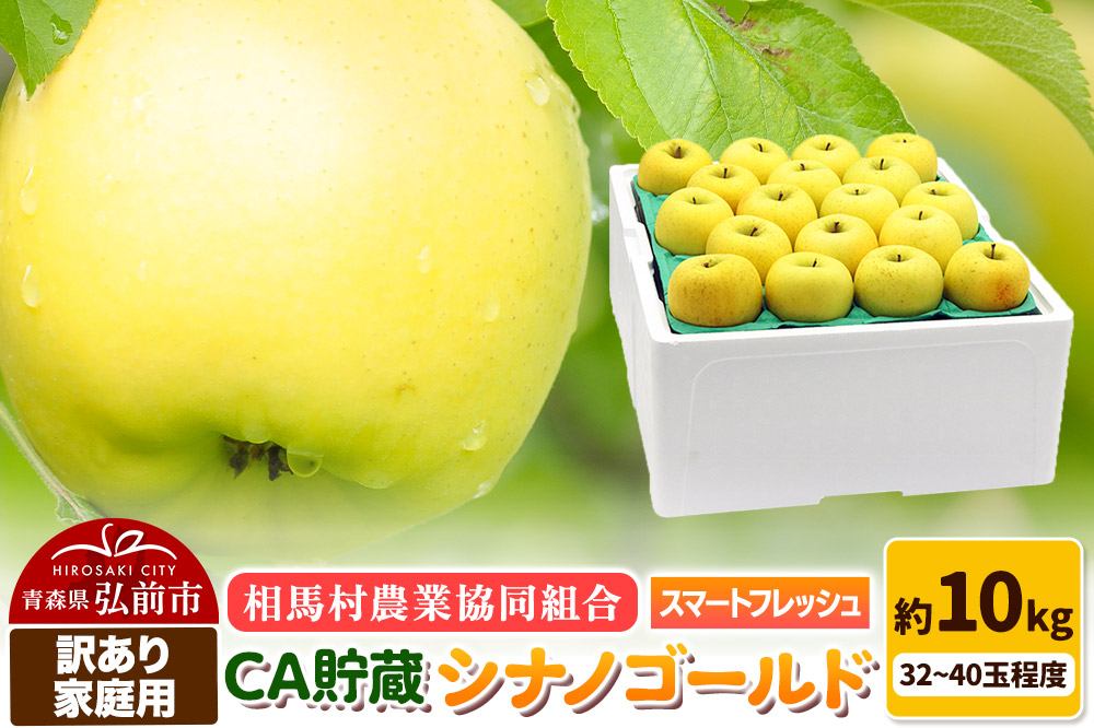 【26年3月発送】りんご【訳あり】家庭用 シナノゴールド約10kg（32～40玉程度）CA スマートフレッシュ