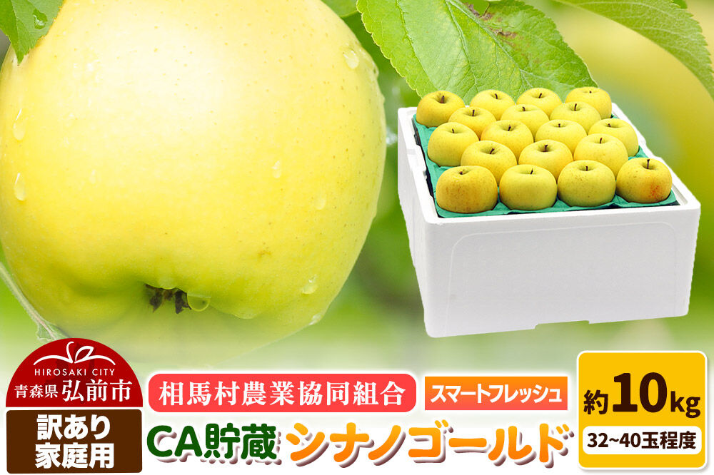 【寄附金額見直しました】りんご シナノゴールド【訳あり】家庭用 約10kg（32～40玉程度）CA スマートフレッシュ [シナノゴールド りんご 10キロ アップル おいしい 黄色 果実 果物 美味 林檎]
