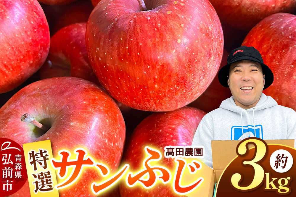 【寄附金額見直しました】りんご【特選】サンふじ 約3kg  弘前市産 青森りんご