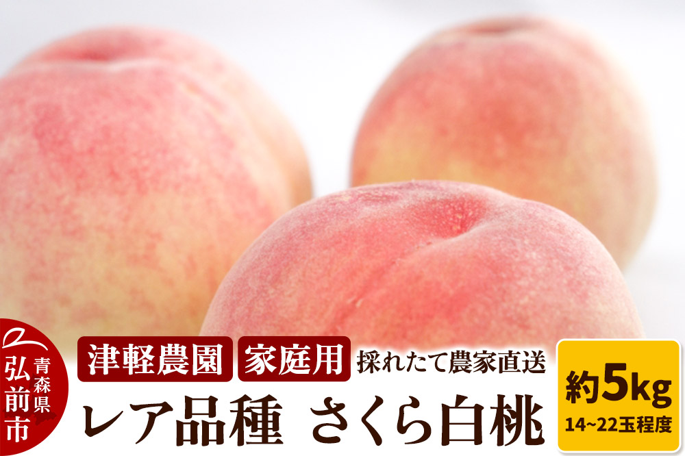 【26年9月発送】もも【2026年産 レア品種 さくら白桃】家庭用 約5kg 14～22玉程度 津軽農園 採れたて 農家直送