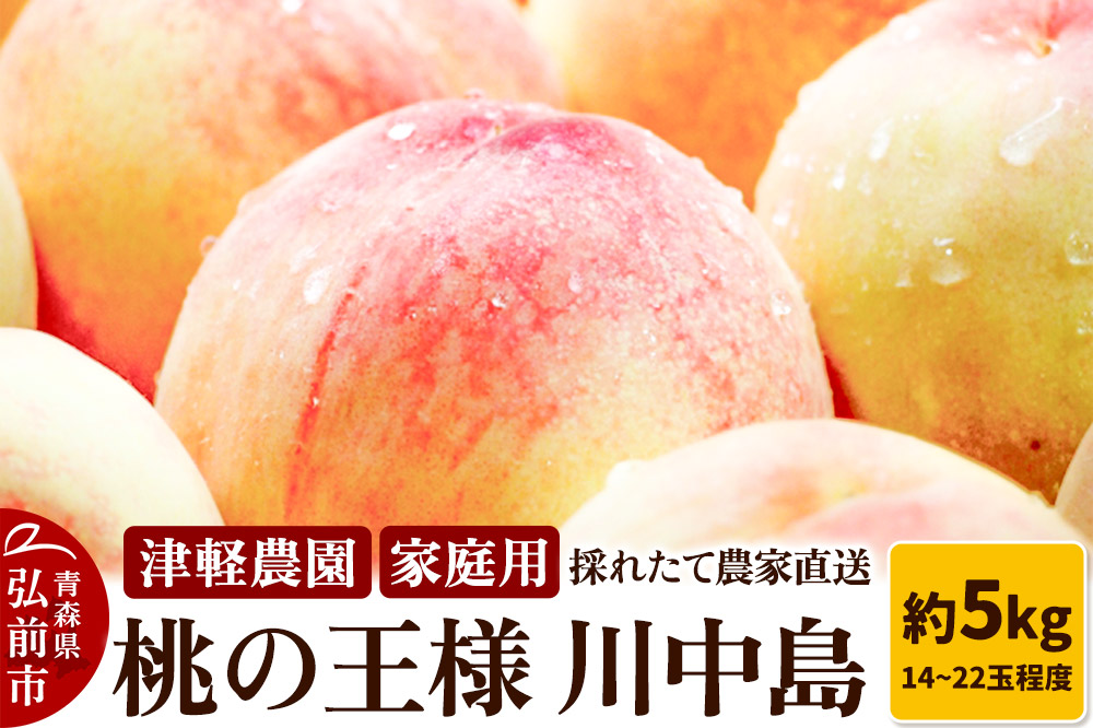【26年8月発送】もも【2026年産 桃の王様 川中島】家庭用 約5kg 14～22玉程度 津軽農園 採れたて 農家直送