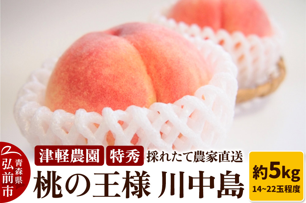 【26年8月発送】もも【2026年産 桃の王様 川中島】特秀 約5kg 14～22玉程度 津軽農園 採れたて 農家直送