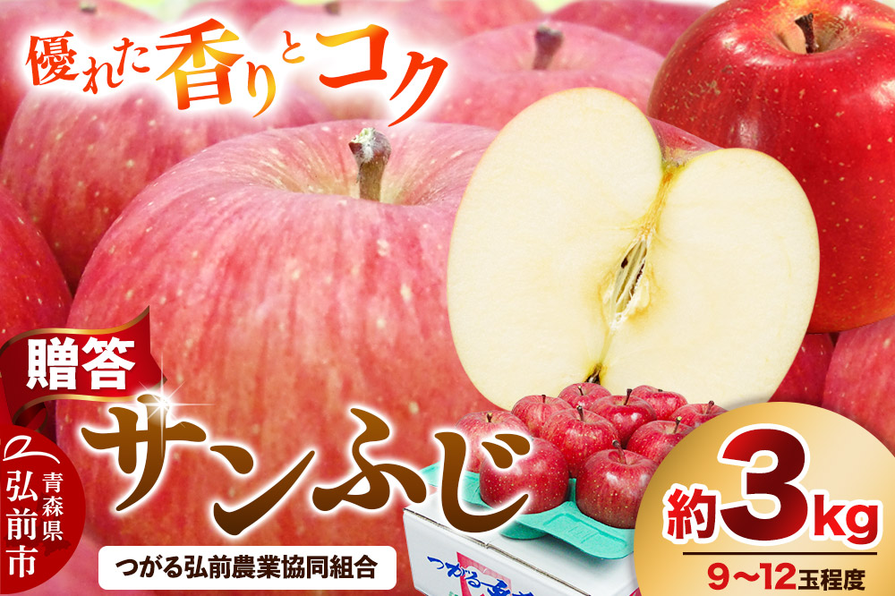 【26年2月発送】りんご 贈答規格 サンふじ 約 3kg（9～12玉程度）