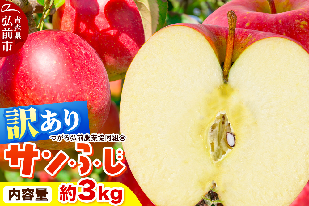 【26年1月～発送】りんご 家庭用【訳あり】サンふじ 約3kg（9～12玉程度）