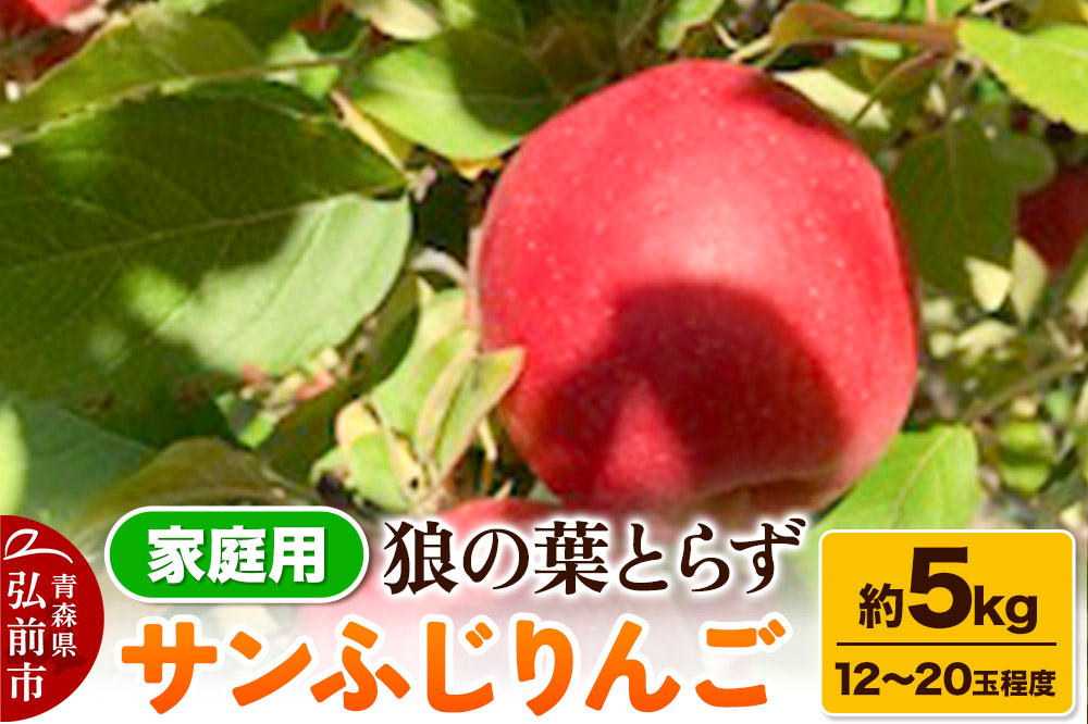 【25年12月～発送】りんご サンふじりんご 狼の葉とらず 約5kg（12玉～20玉程度）家庭用【訳あり】