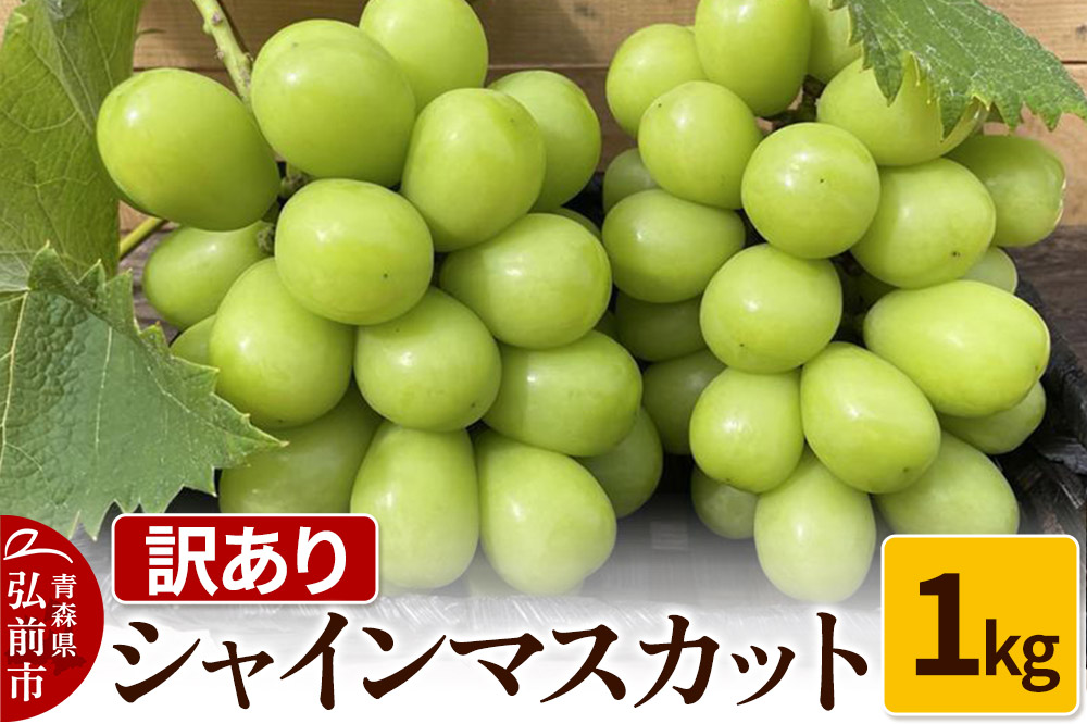 【26年9月～発送】【訳あり】 シャインマスカット1kg ぶどう フルーツ 果物 ブドウ 葡萄 グレープ くだもの 産地直送