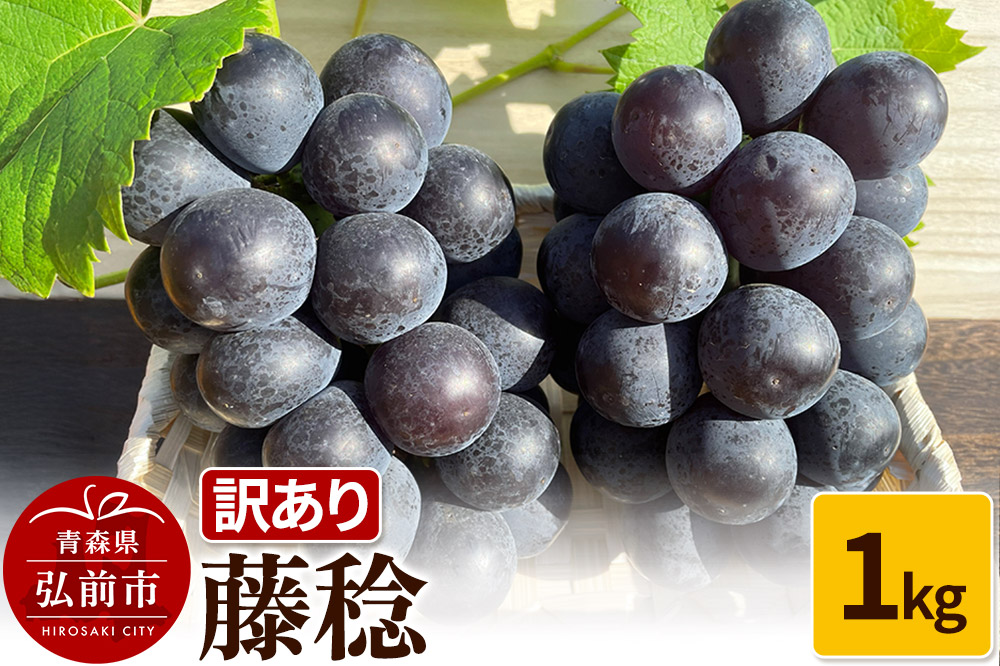 【26年9月～発送】 【訳あり】 藤稔 1kg【先行受付】 ぶどう フルーツ 果物 ブドウ 葡萄 グレープ くだもの 産地直送