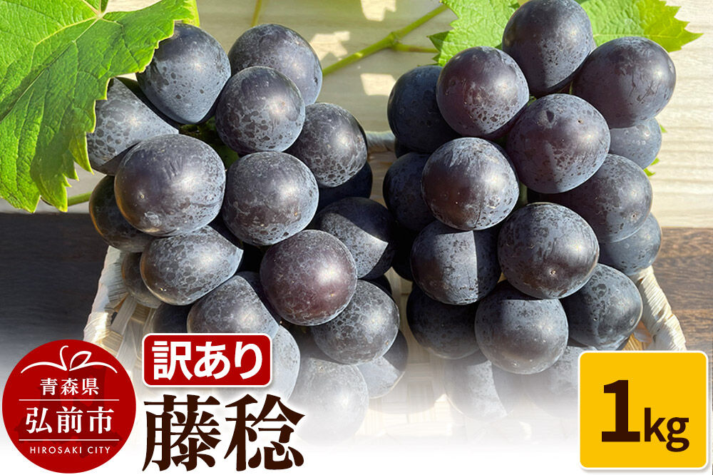 【寄附金額見直しました】【26年9月～発送】 【訳あり】 藤稔 1kg【先行受付】 ぶどう フルーツ 果物 ブドウ 葡萄 グレープ くだもの 産地直送