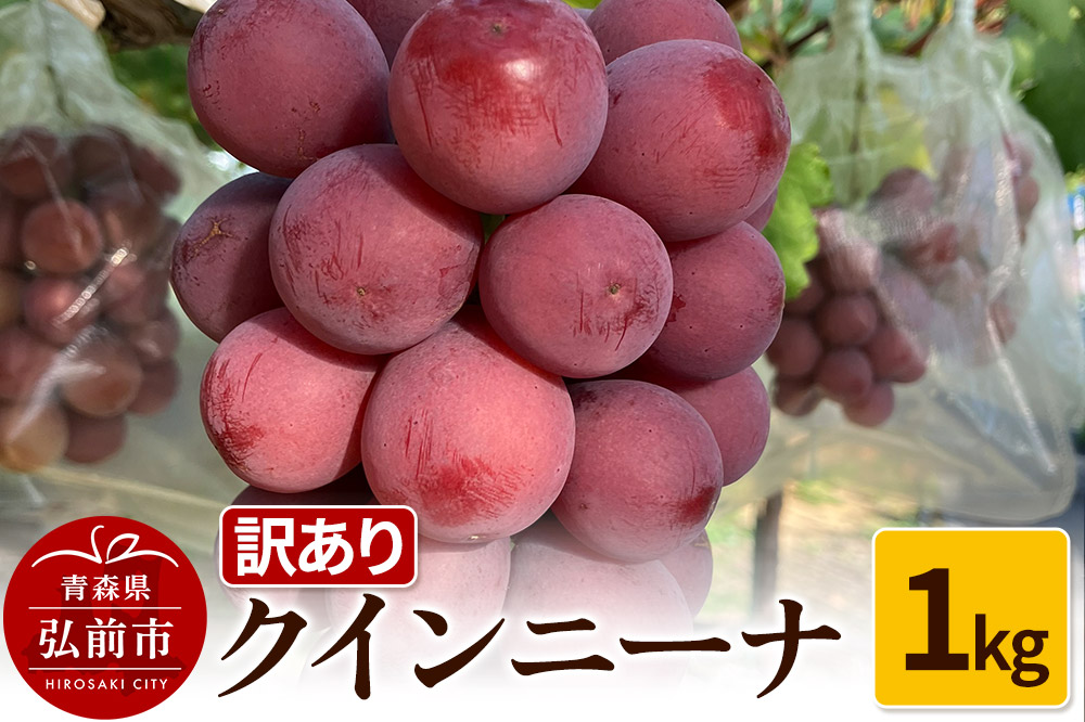 【26年9月～発送】 【訳あり】 クインニーナ 1kg【先行受付】 ぶどう フルーツ 果物 ブドウ 葡萄 グレープ くだもの 産地直送